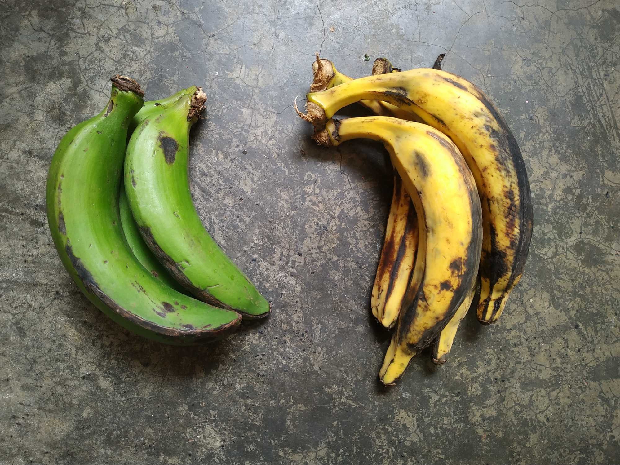 Plantains Vs Green Bananas Leo Tunapika 