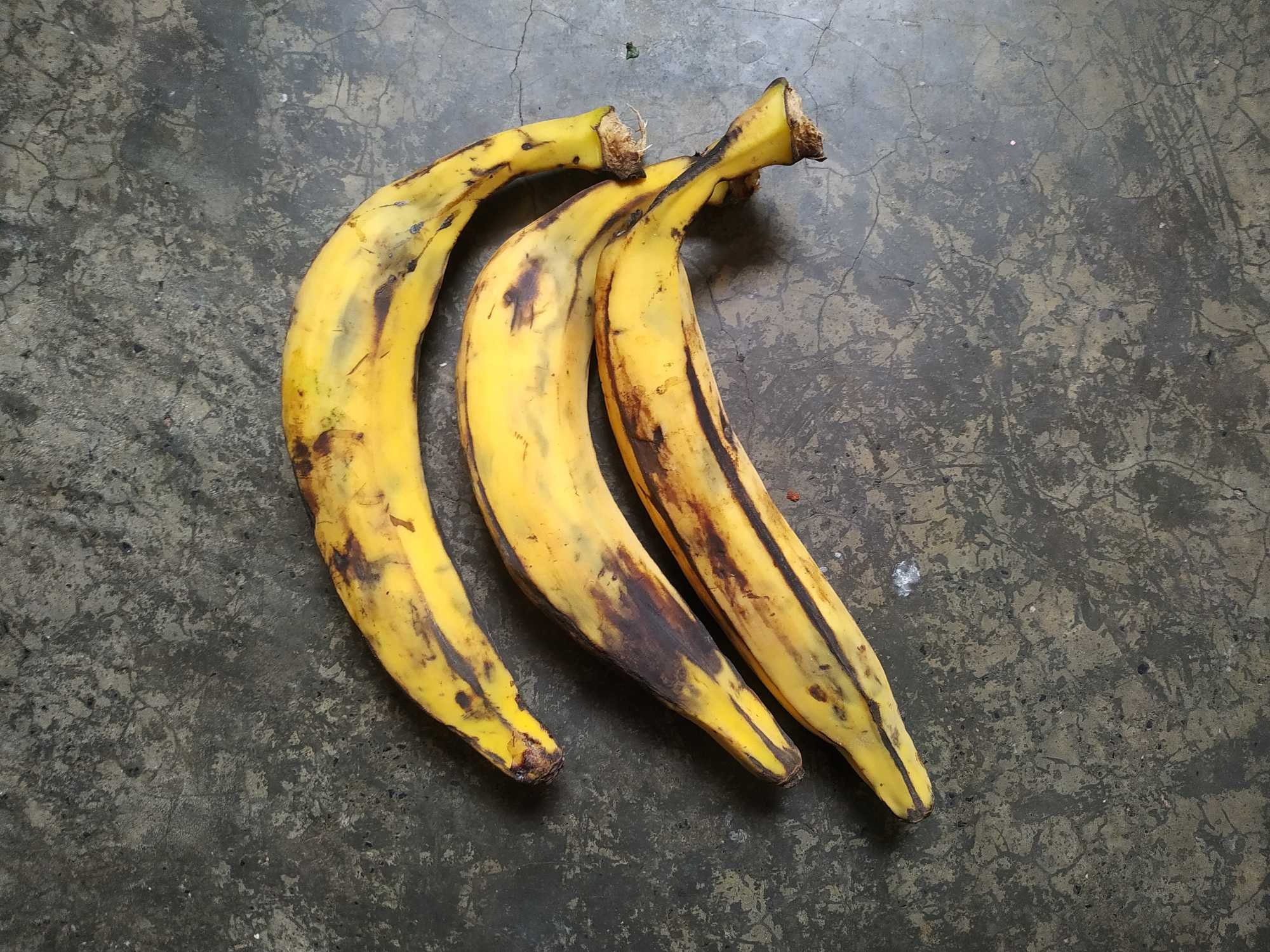 Giant Plantains Vs. Tiny Bananas: The Truth Revealed - v2x1etl